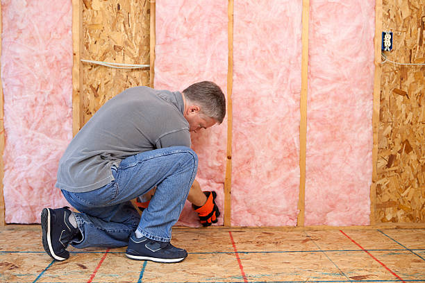 Best Insulation Maintenance and Repair in Croswell, MI